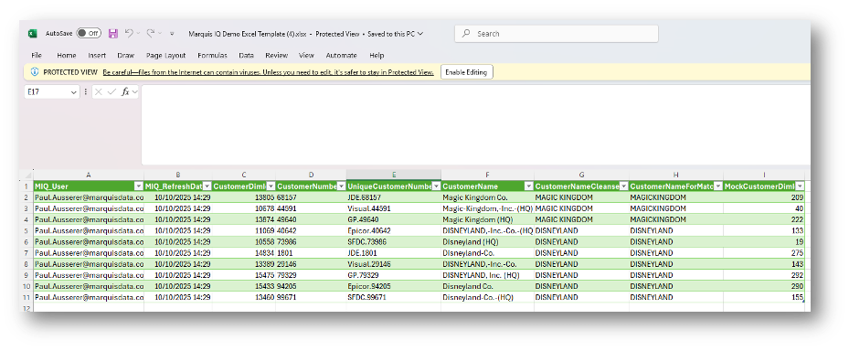 Excel file open in Protected View with yellow Enable Editing bar and customer data rows